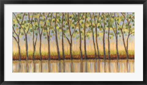 Framed Canopy of Trees Print