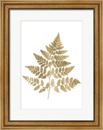 Framed Graphic Gold Fern I Print