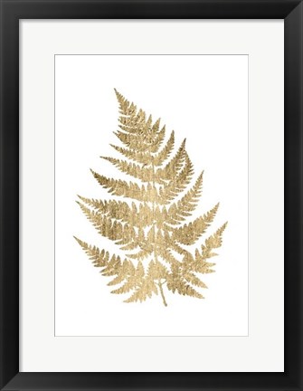 Framed Graphic Gold Fern IV Print