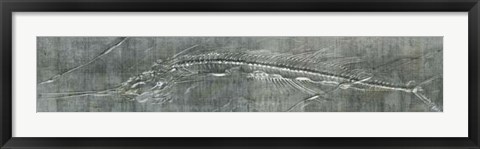 Framed Fossil Imprint I Print