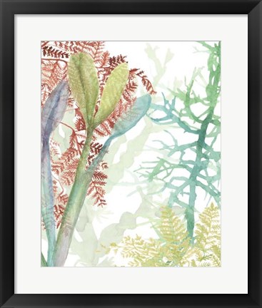Framed Woven Seaplants II Print