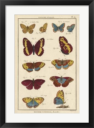 Framed Histoire Naturelle Butterflies IV Print