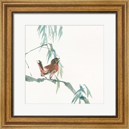 Framed Russet Sparrow Print