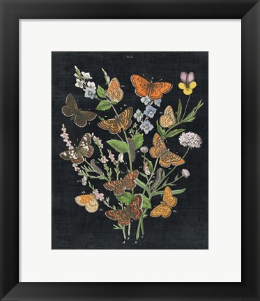 Framed Butterfly Bouquet on Black I Print