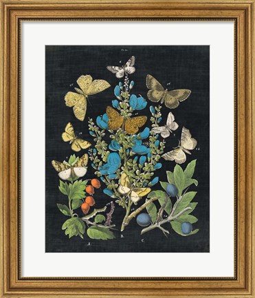 Framed Butterfly Bouquet on Black II Print