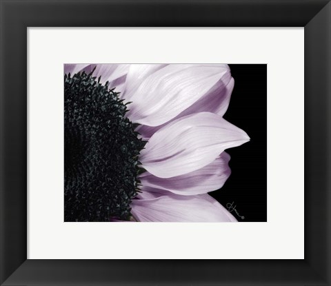 Framed Hints of Lavender Print