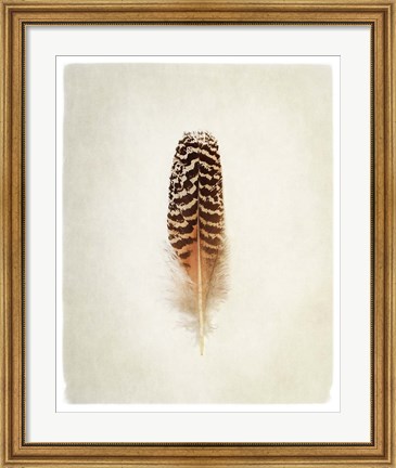 Framed Feather I Print