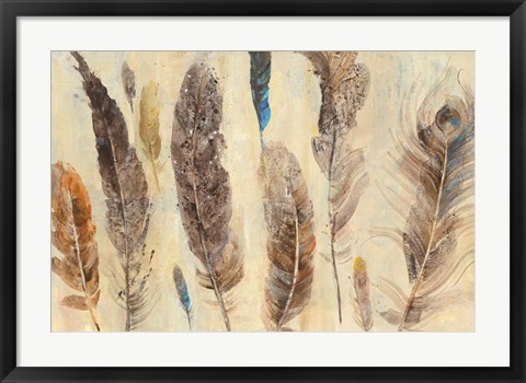 Framed Feather Study Print