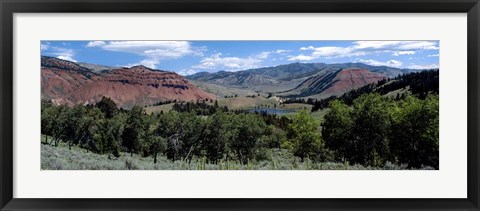 Framed Trees on Red Hills, Bridger Teton National Forest, Wyoming Print
