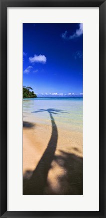 Framed Palm Tree Shadow, Tahiti, French Polynesia Print