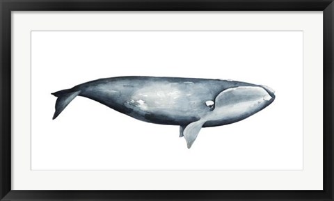 Framed Whale Portrait III Print
