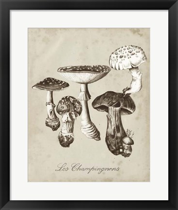 Framed Les Champignons I Print