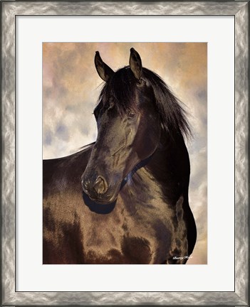 Framed TBD (black horse) Print