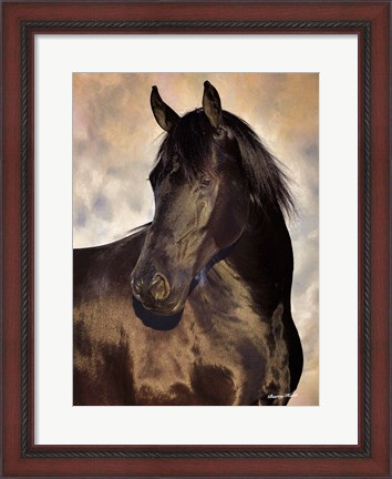 Framed TBD (black horse) Print