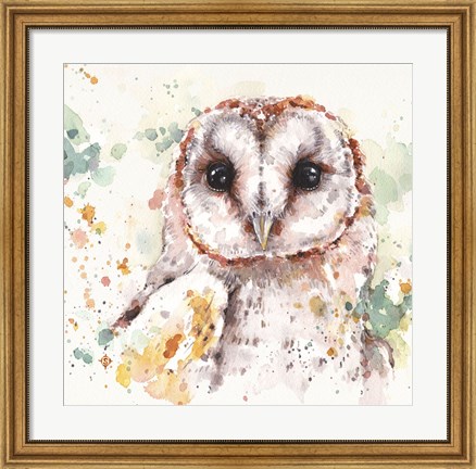 Framed Australian Barn Owl Print