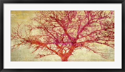 Framed Coral Tree Print