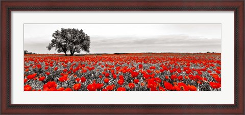 Framed Tree in a Poppy Field 2 Print