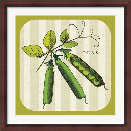 Framed Linen Vegetable IV Print