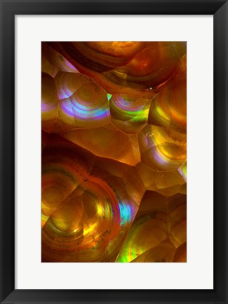 Framed Fire Opal from Australia 2 Print