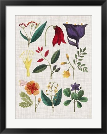 Framed Floral Assemblage IV Print