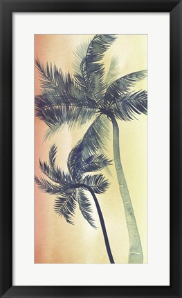 Framed Vintage Palms I Print