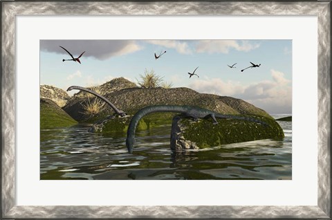 Framed Tanystropheus Fishes From The Rocks Print