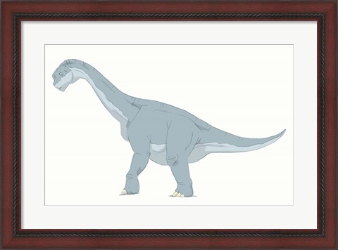 Framed Camarasaurus Print