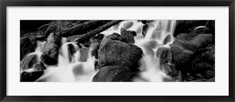 Framed Cascading waterfall in a rainforest, Olympic National Park, Washington State Print