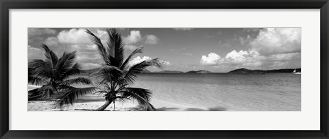 Framed Salomon Beach US Virgin Islands Print