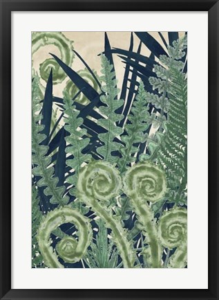 Framed Fiddlehead Waltz II Print