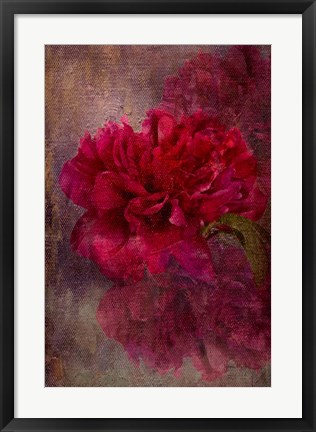 Framed Tapestry Rose Print