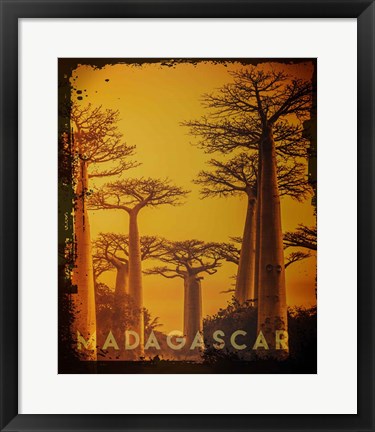 Framed Vintage Baobab Trees in Madagascar, Africa Print