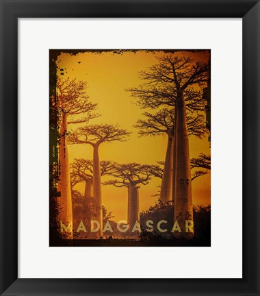 Framed Vintage Baobab Trees in Madagascar, Africa Print