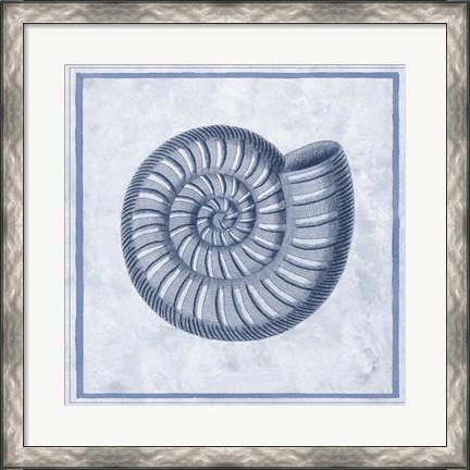Framed Blue Nautilus A Print
