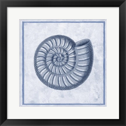 Framed Blue Nautilus A Print