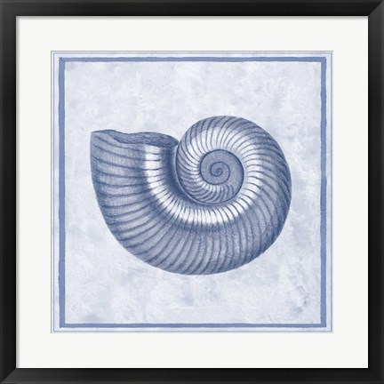 Framed Blue Nautilus D Print