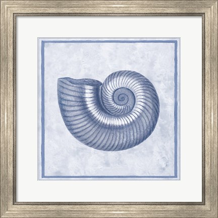 Framed Blue Nautilus D Print
