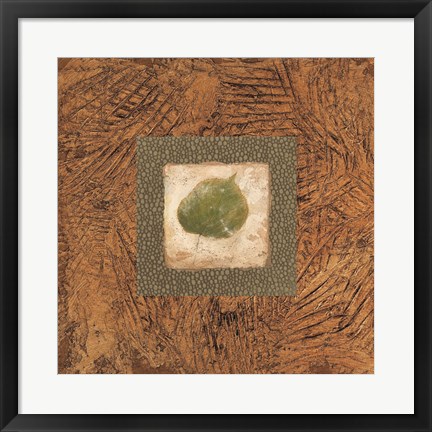 Framed Sedona Naturals A Print