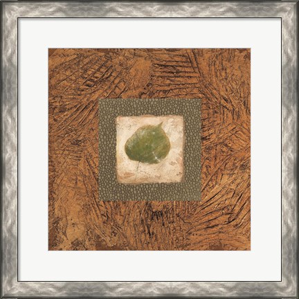 Framed Sedona Naturals A Print