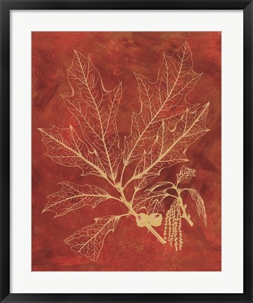 Framed Golden Oak I Print