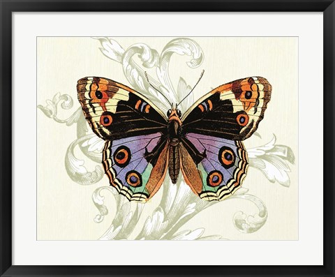 Framed Butterfly Theme I Print