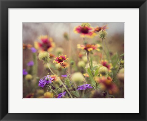 Framed Wild Blooms I Print