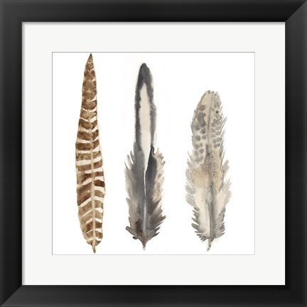 Framed Watercolor Plumes I Print