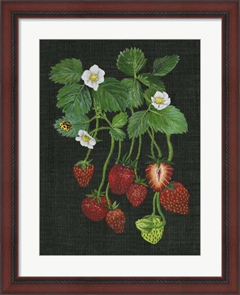 Framed Strawberry Fields II Print