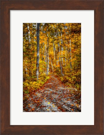Framed Ohiopyle Path Print
