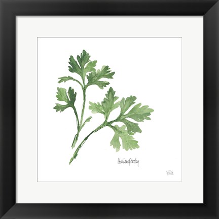 Framed Italian Parsley Print