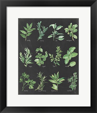 Framed Herb Chart on Black Print