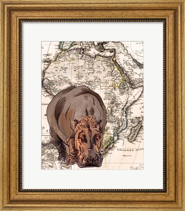 Framed African Hippo Print