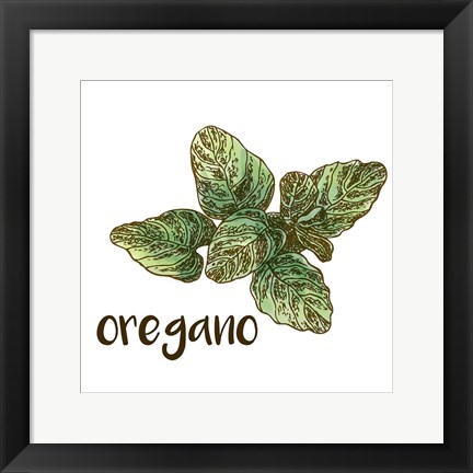 Framed Oregano Print