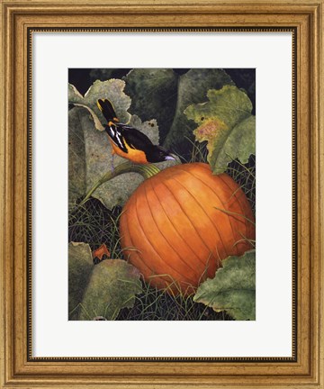 Framed Oriole &amp; Pumpkin Print